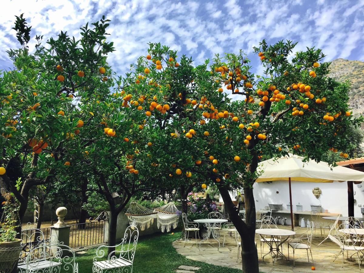 Palazzo Cacace Relais Ξενοδοχείο Meta Εξωτερικό φωτογραφία