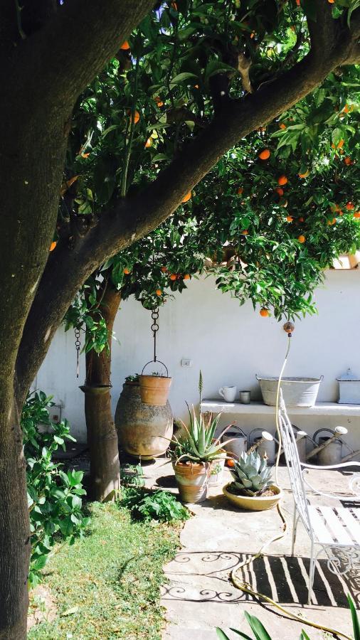 Palazzo Cacace Relais Ξενοδοχείο Meta Εξωτερικό φωτογραφία
